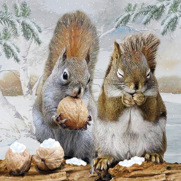 餐巾33x33厘米 - Tasty Meal 