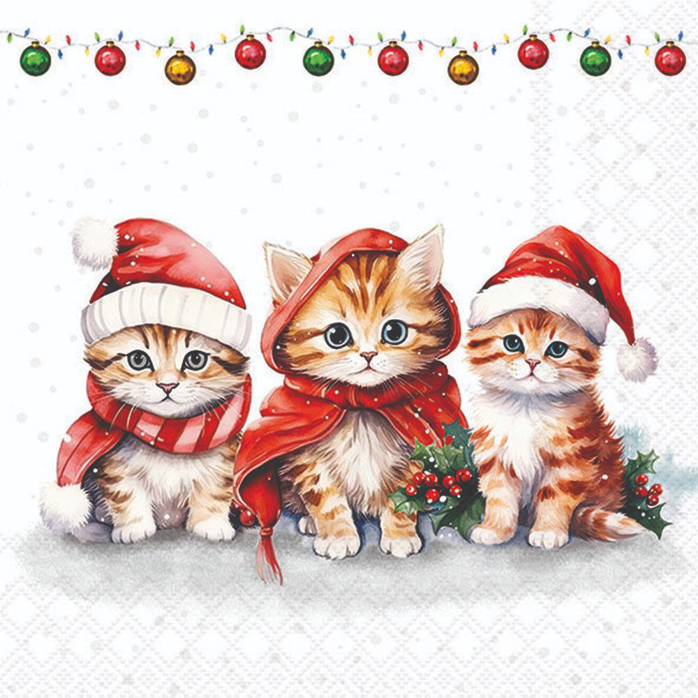 Napkins 33x33 cm - Funny cute kittens