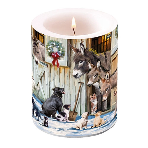 candela decorativa - Animal Friends