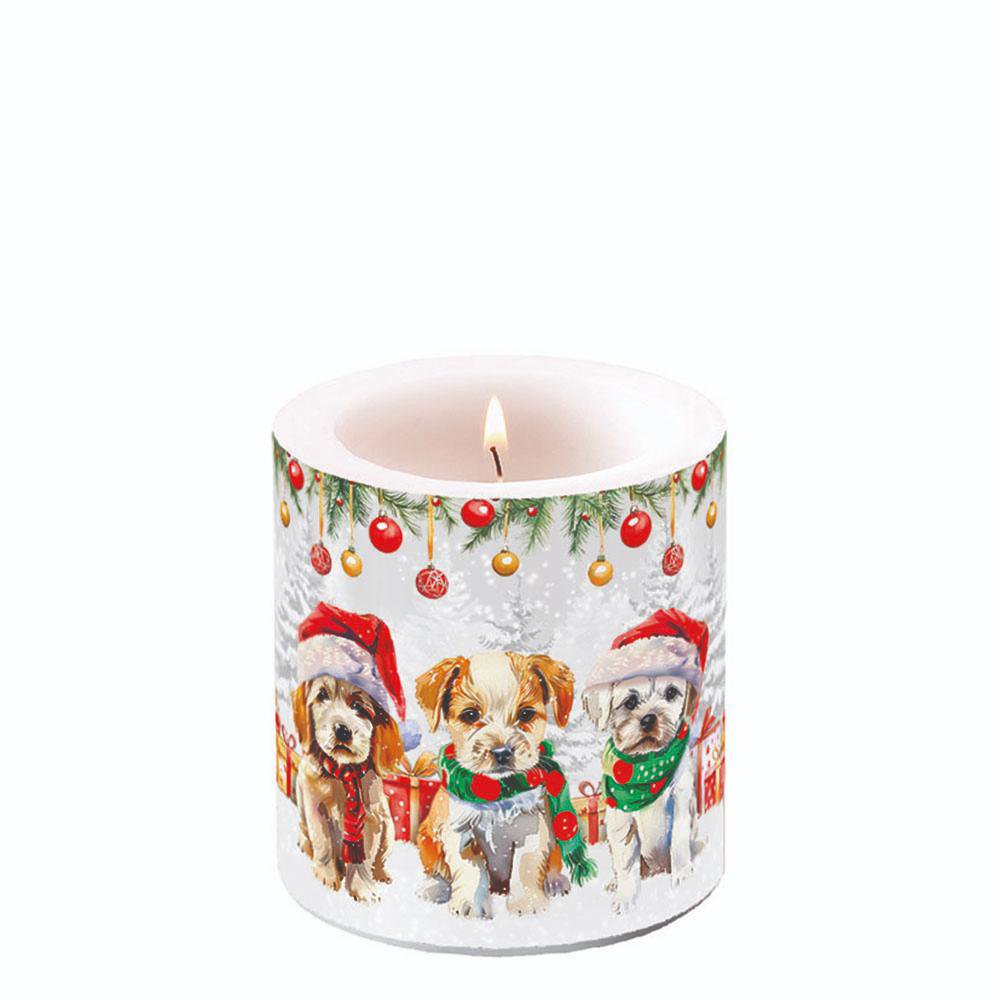 装饰蜡烛小 - Funny cute puppies