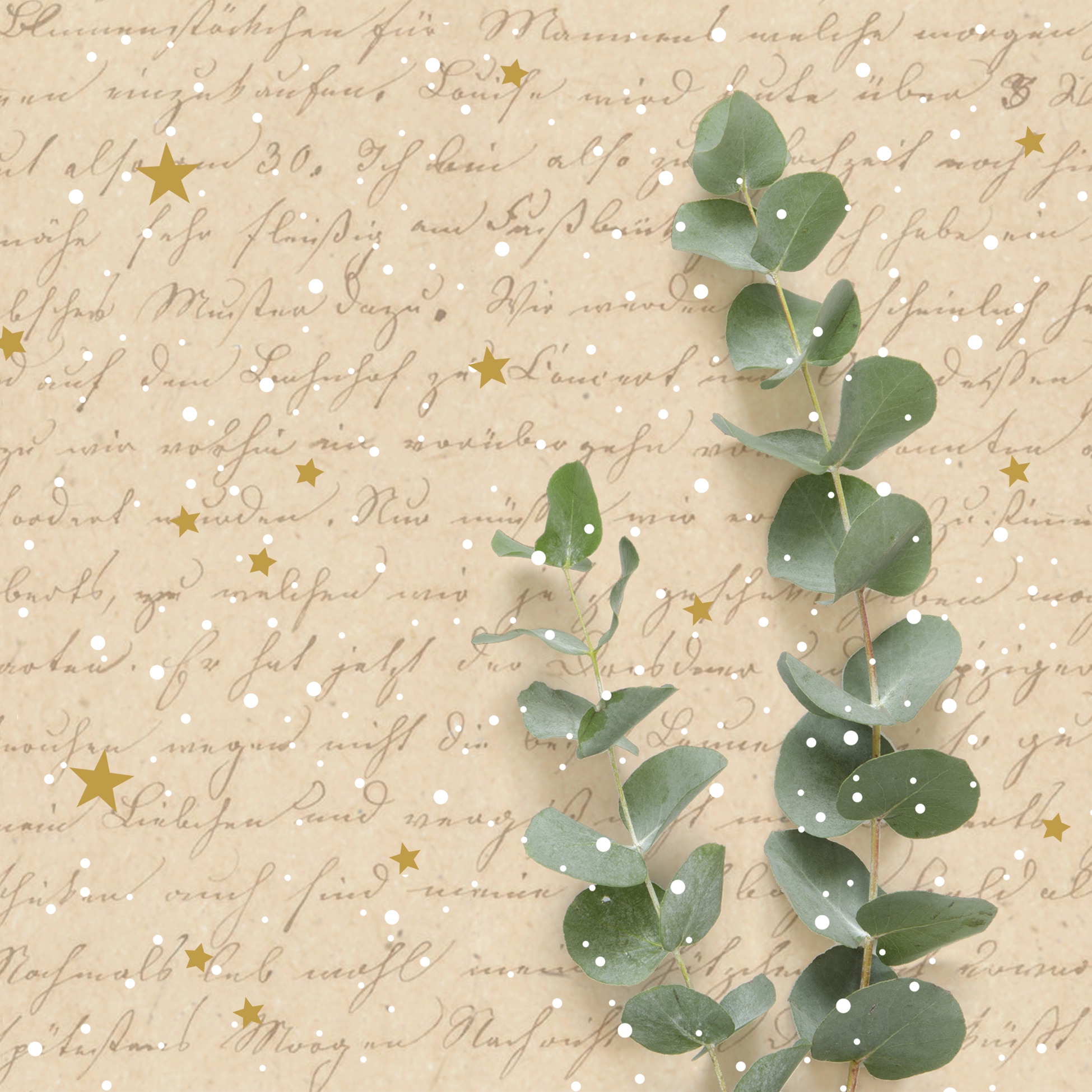 Servilletas 33x33 cm Atelier -  Winterstyle, Texto,  Eucalipto,  Estrellas,  Diciendo,  Plantas