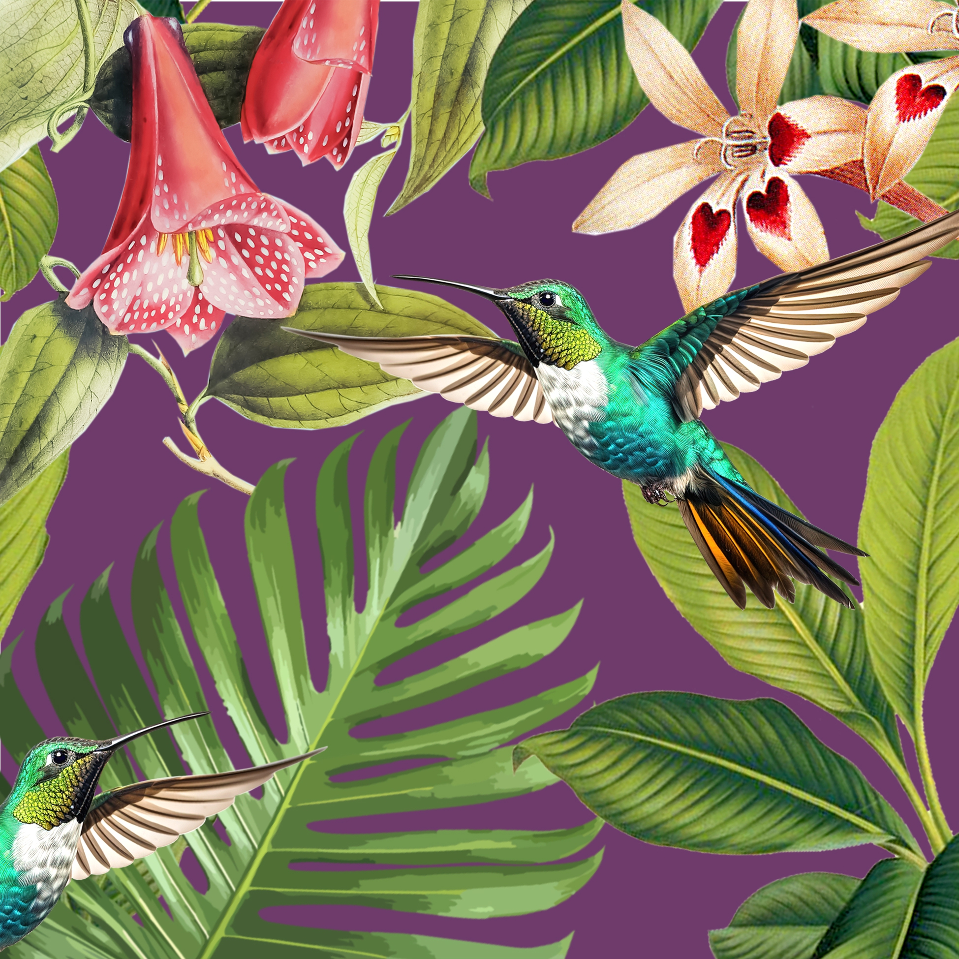 Tovaglioli 33x33 cm Avantgarde -  Paradise deep purple, Tropici,  tropicale,  Colibrì,  Palme,  Uccello,  Mari del Sud,  Estate,  I fiori,  Animali,  Regioni