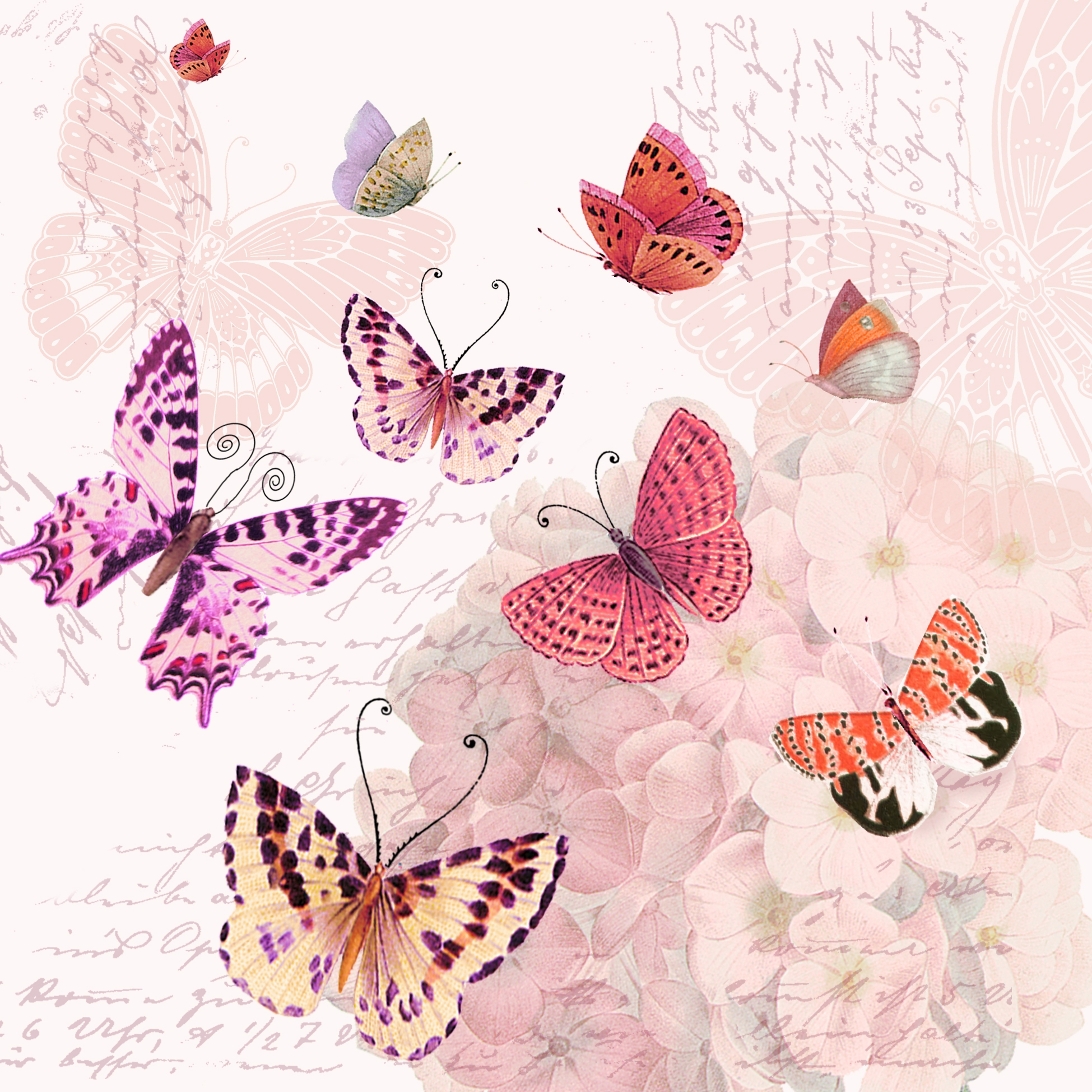 Serwetki 33x33 cm Atelier -  Butterfly Romance, Hortensje,  czcionka,  List,  Motyle,  Vintage,  Kwiaty,  Zwierz?ta