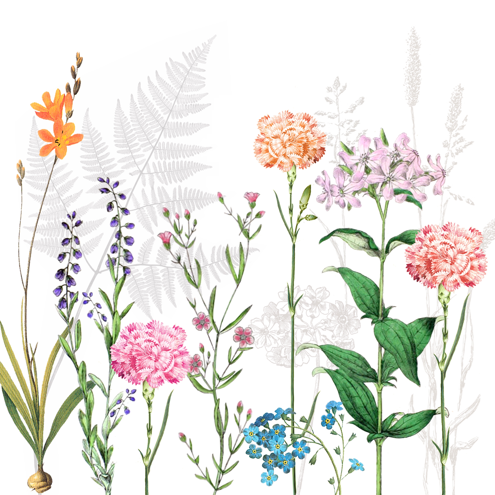 Servietten 33x33 cm A la Carte -  Botanica, Gräser,  Farn,  Farne,  Wiese,  Blumen,  Pflanzen,  Wald,  Wiesen