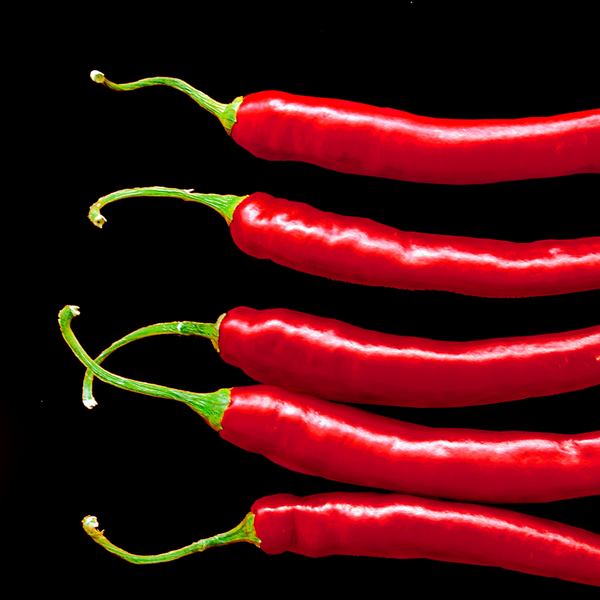 Tovaglioli 33x33 cm A la Carte -  Somethin Hot schwarz, Peperoncino,  Spezie,  Verdure