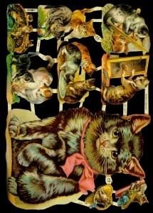 Glanzbilder - Katzen, Katzen