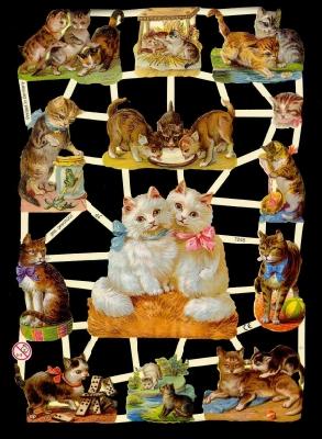 Glanzbilder - Katzen, Katzen
