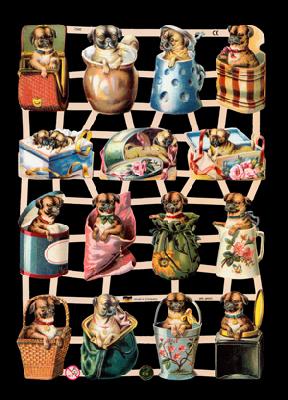 glossy pictures - Hunde Motiv 4