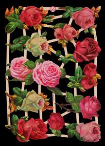 Imágenes brillantes con mica plateada - 12 Rosen, Rosas