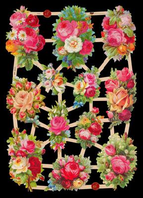 immagini lucide - helle Rosen, Le rose