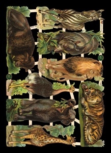 immagini lucide - Waldtiere