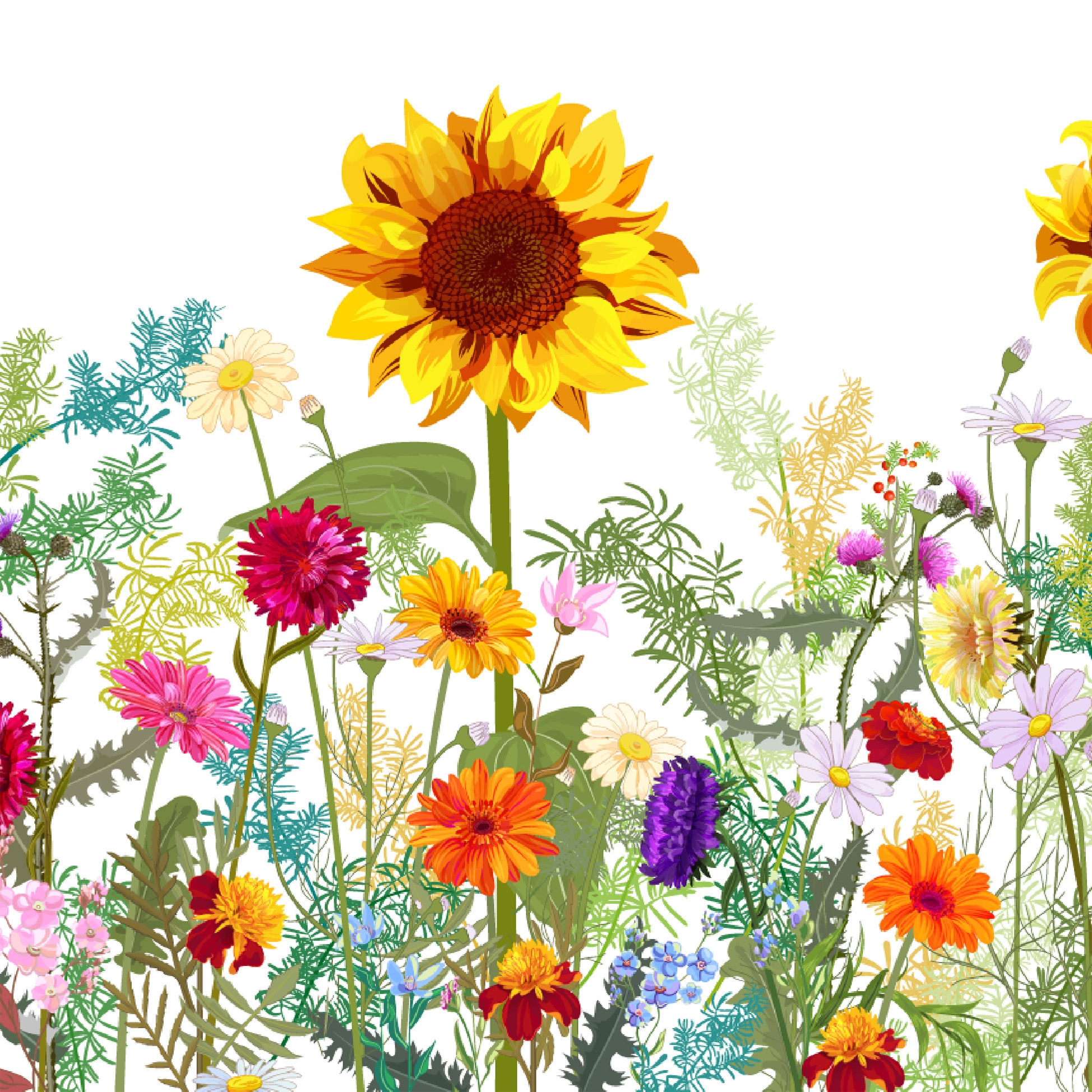 Servilletas 33x33 cm - Wild Sunflower, Flores silvestres,  prado de flores,  amarillo,  rosa,  naranja,  girasoles,  flores,  bosque,  prados