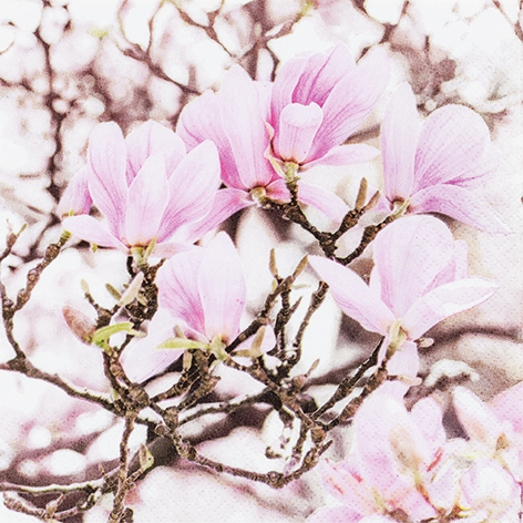 Guardanapos 25x25 cm - Pink Magnolia