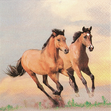 Servietten 33x33 cm - Wild Horses, Pferde