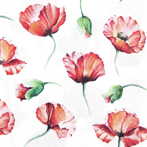 Servietten 33x33 cm - Poppy Drawing, Mohn,  Blumen