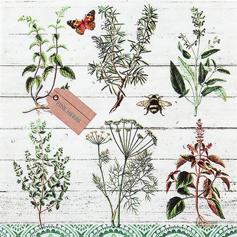 Servilletas 33x33 cm - Floral Study, Hierbas,  hierbas culinarias,  plantas