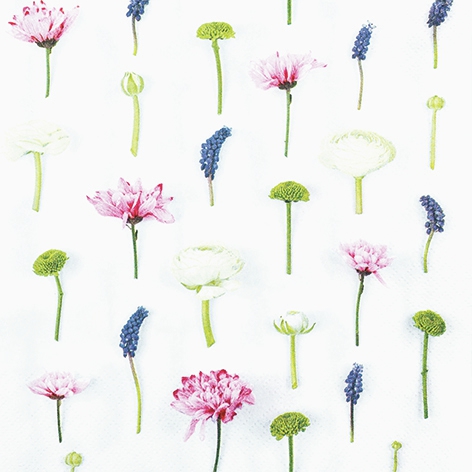 餐巾33x33厘米 - Flower Composition