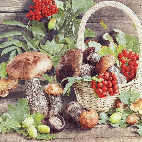 Servietten 33x33 cm - Fall Season