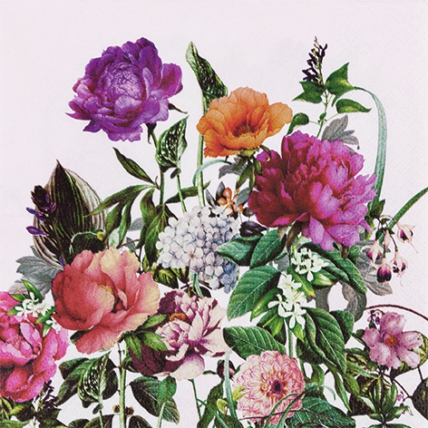 Napkins 33x33 cm - Bloom