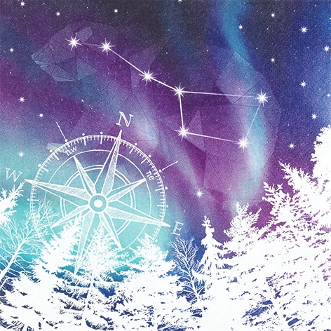 餐巾33x33厘米 - Northern Lights