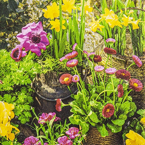 Napkins 33x33 cm - Spring Garden