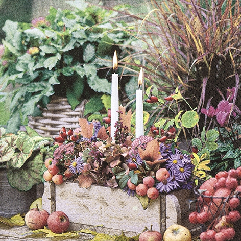 Napkins 33x33 cm - Autumn Candles, Garden,  Autumn leaves,  Apples,  Flowers,  Candles,  Leaves,  Fruits,  Foliage