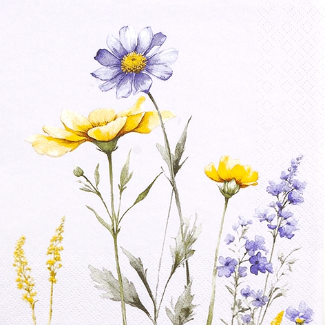 Servilletas 33x33 cm - Silvia