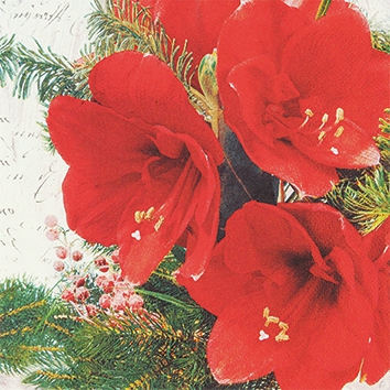 Guardanapos 25x25 cm - Red Amaryllis