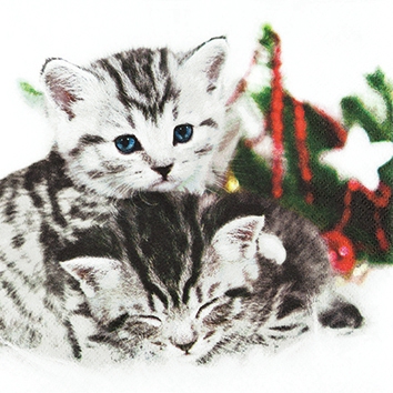 Guardanapos 25x25 cm - Christmas Cats