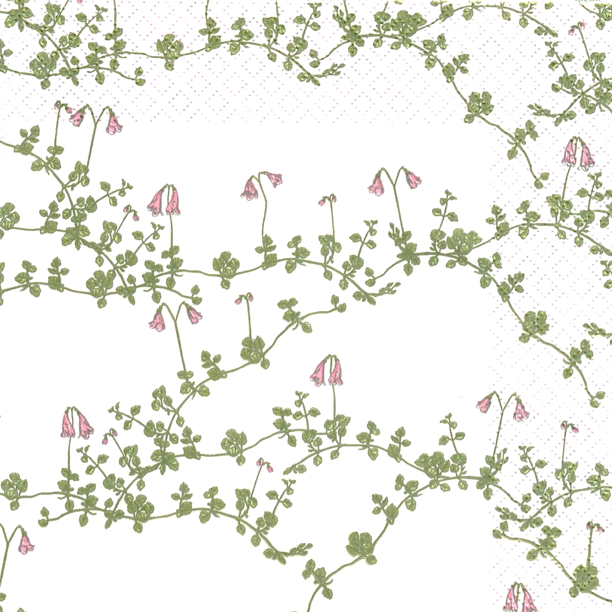 餐巾33x33厘米 - Vanamo v 