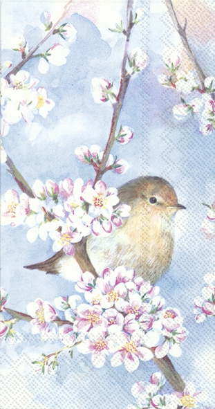 自助餐巾 - HARMONY