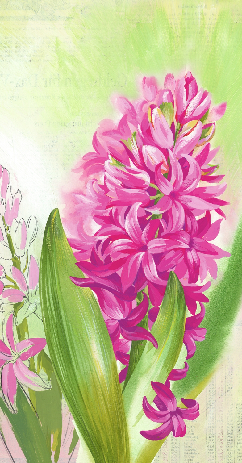 自助餐巾 - HYAZINTH