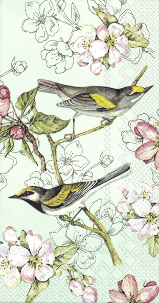 自助餐巾 - BIRDS SYMPHONY green