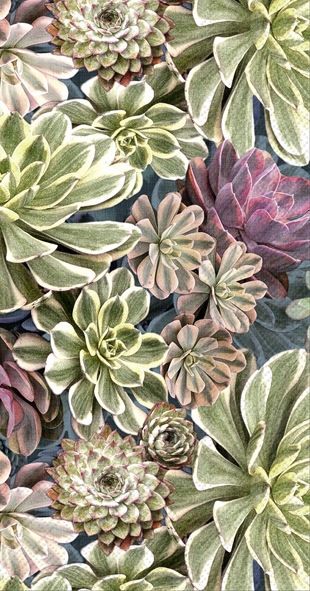 Buffet napkins - SUKKULENT, houseleek,  plants