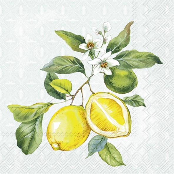 Servilletas 25x25 cm - LEMON WREATH mint, Limón,  limones,  fruta tropical,  fruta