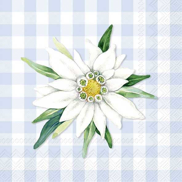 Servietten 25x25 cm - EDELWEISS AND GENTIAN li. blue, Edelweiß,  Berge,  Bayern,  Alpin,  Blumen,  Regionen,  Muster