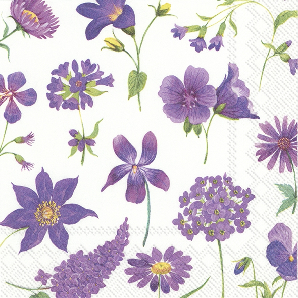 Napkins 25x25 cm - CLEA