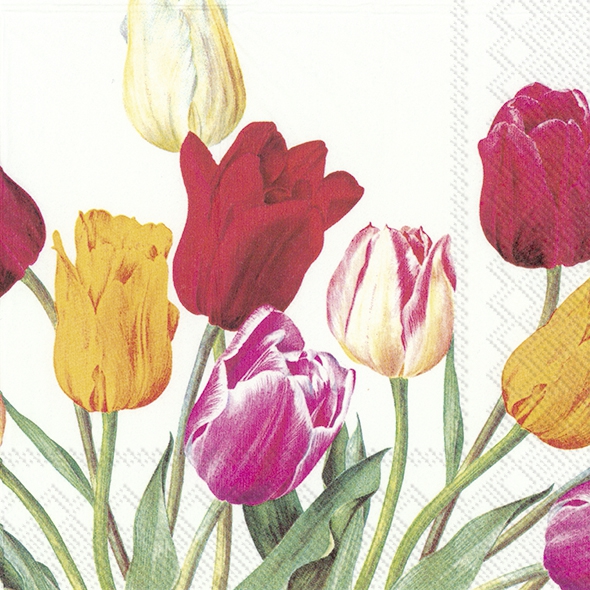Servietten 25x25 cm - TULIPS white