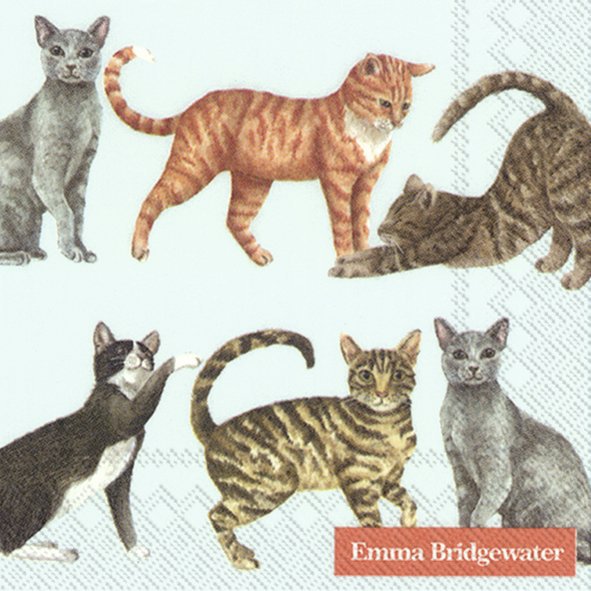 Serwetki 25x25 cm - CATS light blue