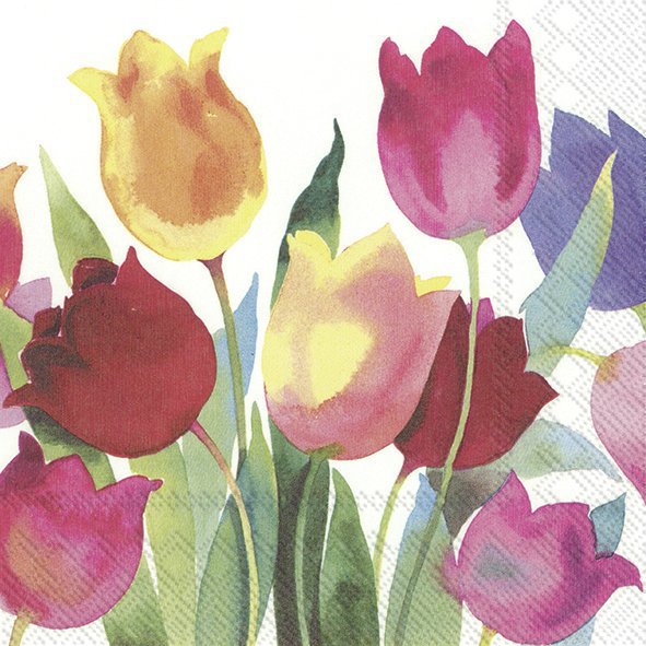 餐巾25x25厘米 - POWERFUL TULIPS