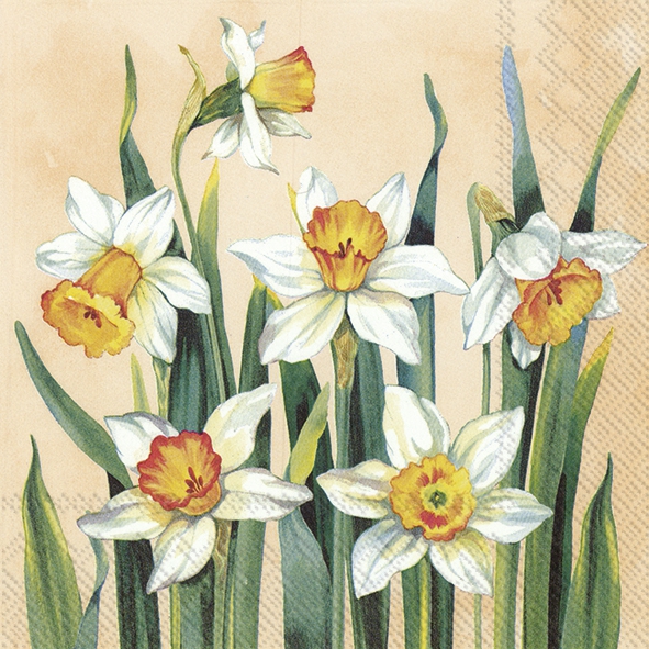 餐巾25x25厘米 - WHITE NARCISSUS apricot