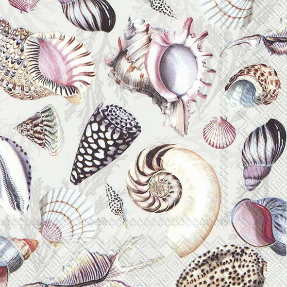 Servilletas 25x25 cm - SHELLS OF THE SEA nature, conchas marinas,  encallar