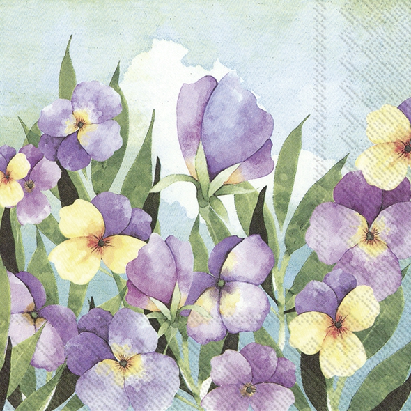 餐巾25x25厘米 - VIOLET PANSY