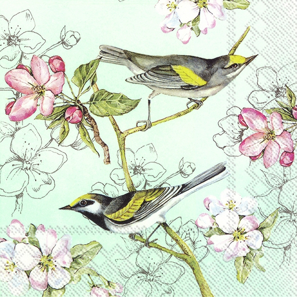 Servilletas 25x25 cm - BIRDS SYMPHONY green