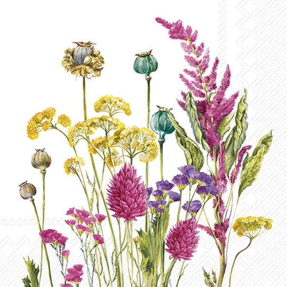 Servilletas 25x25 cm - EVERGREEN, Pradera de flores,  Bosque,  Flores,  Semillas de amapola,  Prados