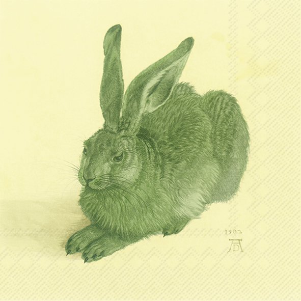 Servilletas 25x25 cm - POP ART DÜRER