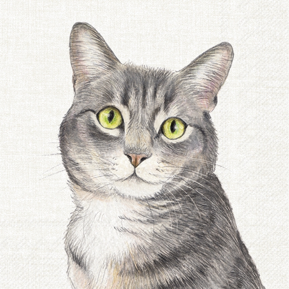 Serwetki 33x33 cm - FARM CAT cream, Koty,  Zwierz?ta