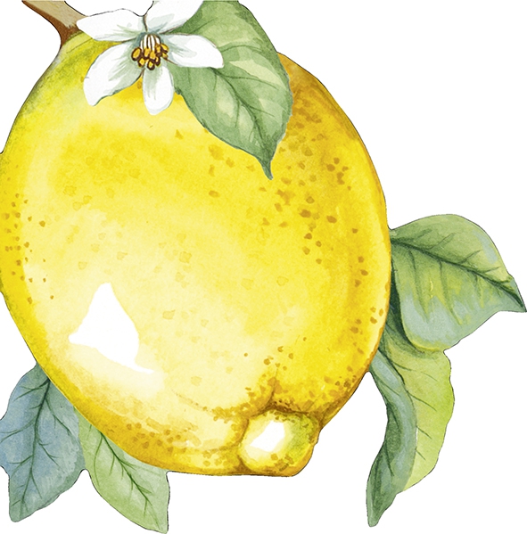 Gestanzte Servietten - LEMON, Zitrone,  Zitronen,  Südfrüchte,  Früchte