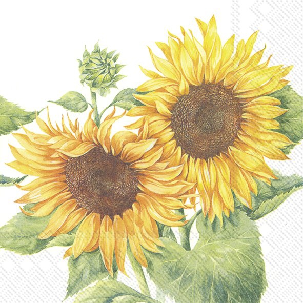 Servietten 33x33 cm - MIRASOL white, Sonnenblumen,  Blumen