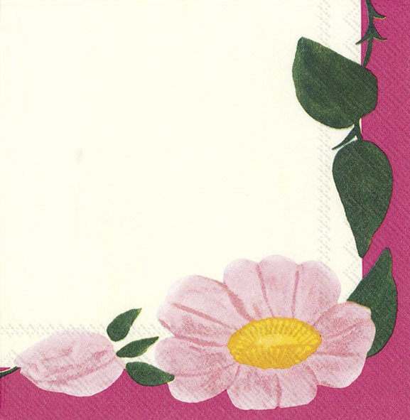 Napkins 33x33 cm - ROSE SAUVAGE V&B, edge, roses, flowers Napkins 33x33 cm - ROSE SAUVAGE V&B